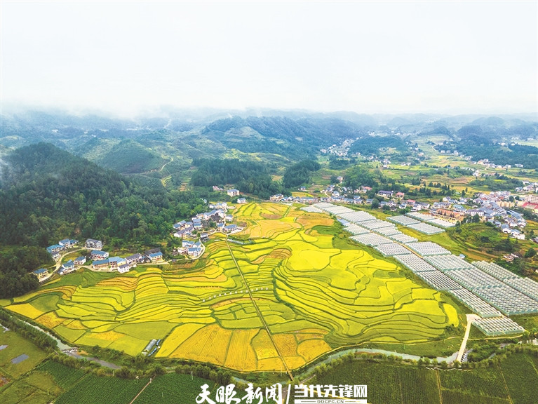花茂村田園風(fēng)光美如畫。 羅星漢 攝.jpg